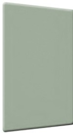 5206 S Olive Green